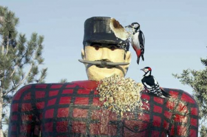 Bunyan_woodpecker