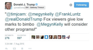 Megyn_Kelly_bimbo